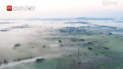 江苏溧阳：云蒸霞蔚 平流雾景美如画 超清(720P)