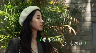 【产品评测】带上小姐姐咖啡馆撸猫？富士X-T4使用体验